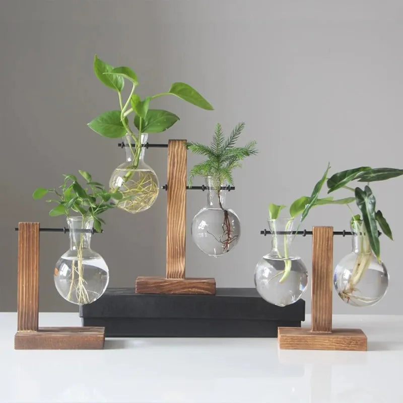 Hydroponic Glass Vase | Wooden Stand Propagation Station
