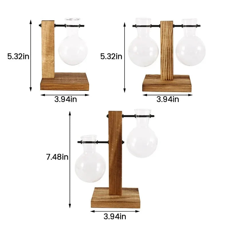 Hydroponic Glass Vase | Wooden Stand Propagation Station