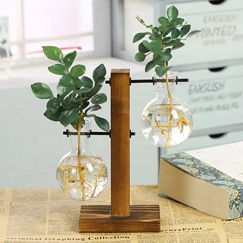 Hydroponic Glass Vase | Wooden Stand Propagation Station