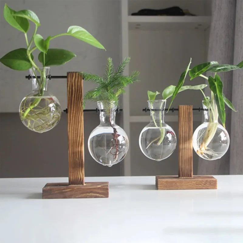 Hydroponic Glass Vase | Wooden Stand Propagation Station