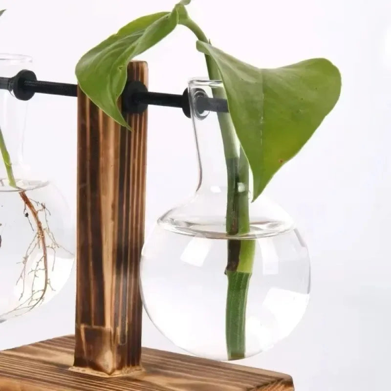 Hydroponic Glass Vase | Wooden Stand Propagation Station